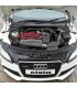Ramair športové sanie AUDI RS3 TTRS 2.5 TFSI 8P 8J